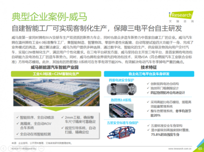 2025年新能源市場展望 威馬等企業潛力無限，技術咨詢服務助力行業騰飛